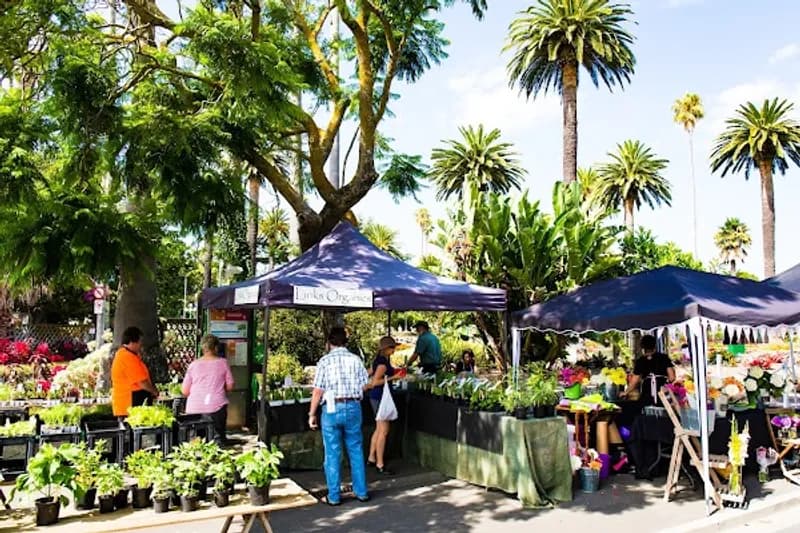 Napier Urban Farmer's Market cover photo