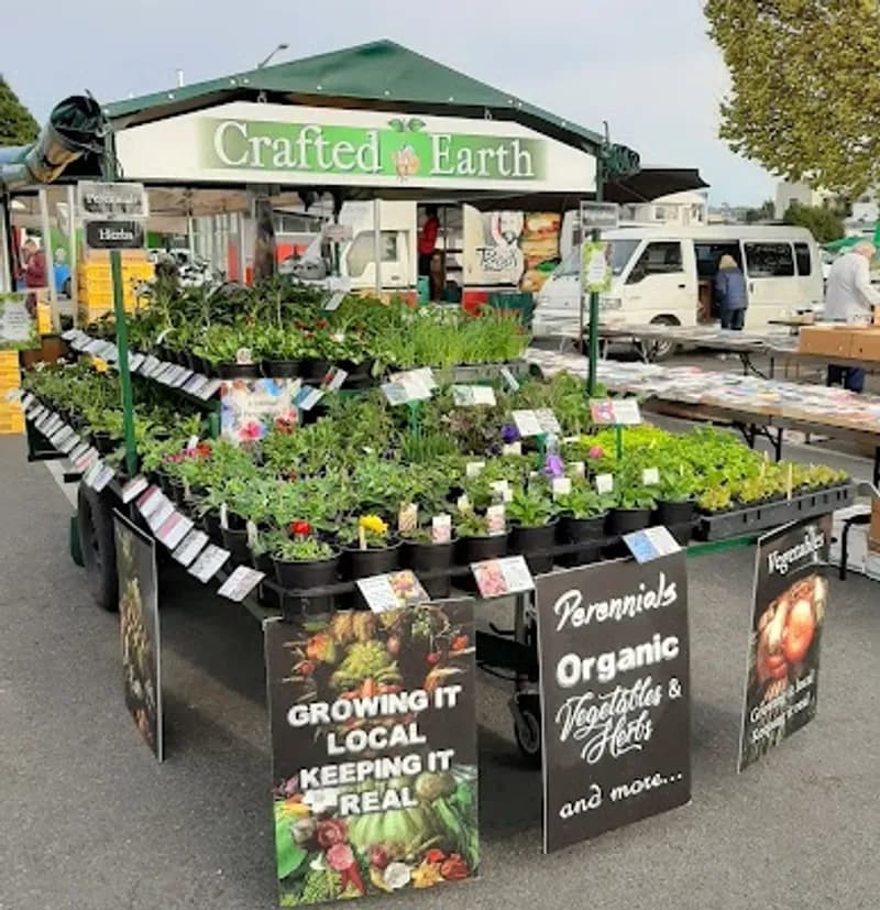 Motueka Sunday Market cover photo
