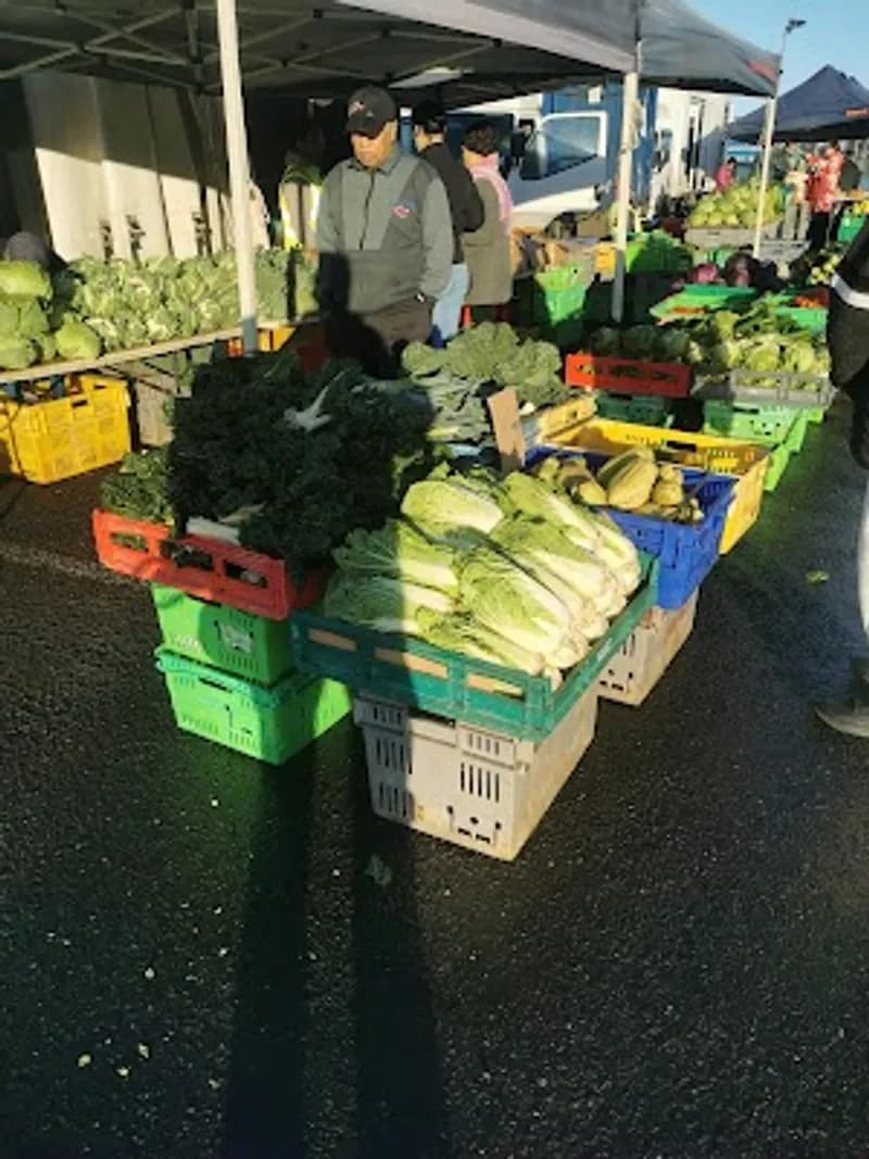 Auckland Markets cover photo